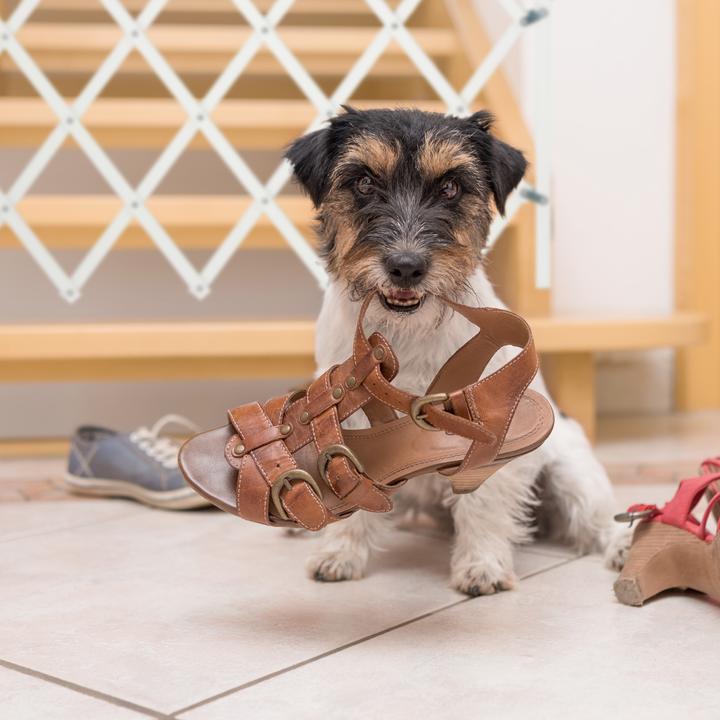 Image du produit Relaxdays Barrière pour chiens (3 cm)