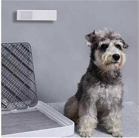 Actual product image Petkit Pura Air Smart Odor Eliminator (Dog, Cat)