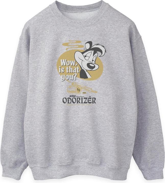 Produktbild Looney Tunes Odorizer Sweatshirt (L)