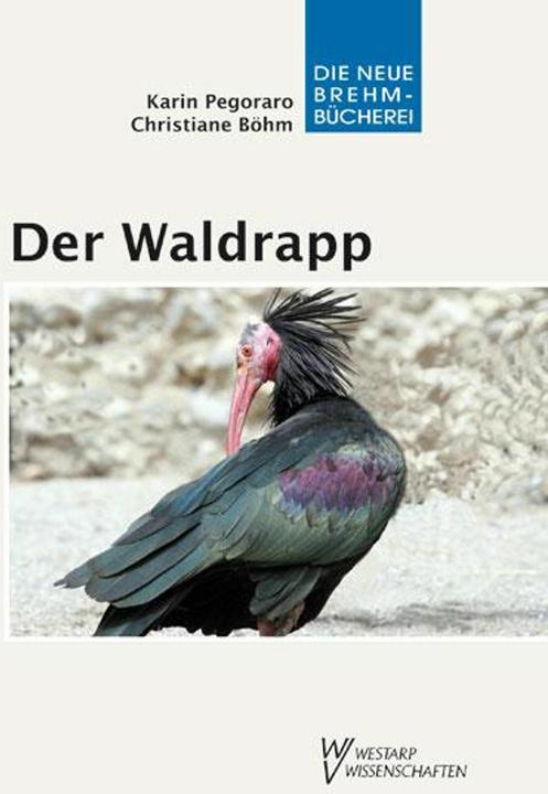 Produktbild Der Waldrapp (Deutsch, Karin Pegoraro, Christiane Böhm, 2011)