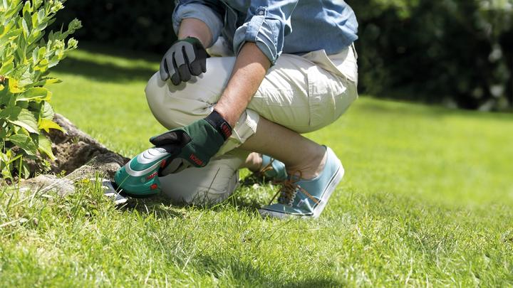 Produktbild Bosch Home & Garden Isio (Akkuheckenschere)