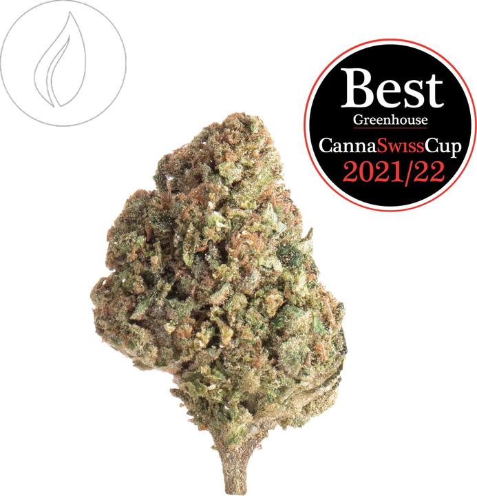 Actual product image SlowWeed Slow Weed Arancia Tonic Greenhouse 6g (22.65 g, Indoor)