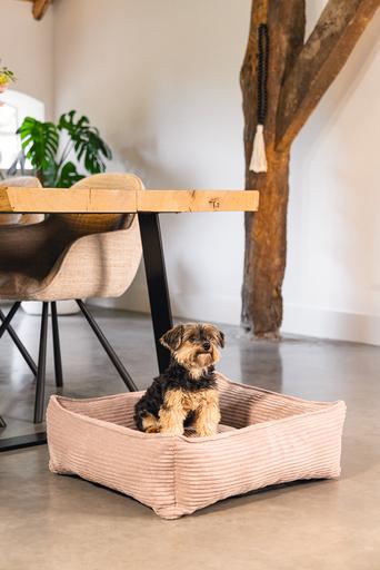 Actual product image Designed by Lotte Ribbed (Dog)