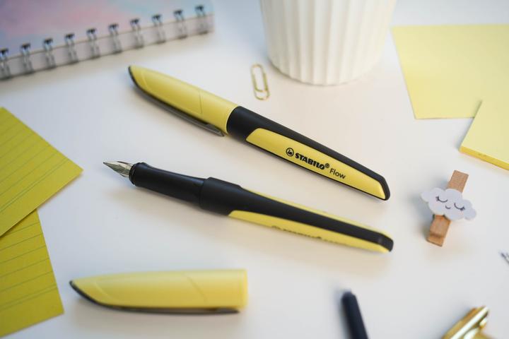 Immagine prodotto STABILO Penna stilografica Flow MODERN OFFICE (Giallo pastello, 1 x)