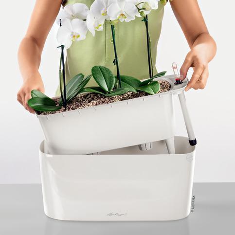 Produktbild Lechuza Delta (15 cm)