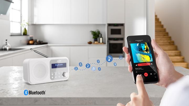 Image du produit Sharp DR-P420 (DAB+ DAB, FM, DAB, Bluetooth)