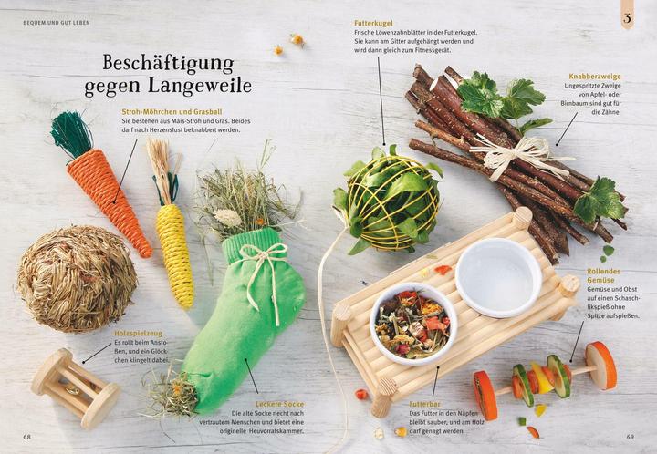 Produktbild Neugierige Meerschweinchen - So fühlen sie sich wohl (Deutsch, Immanuel Birmelin, 2015)