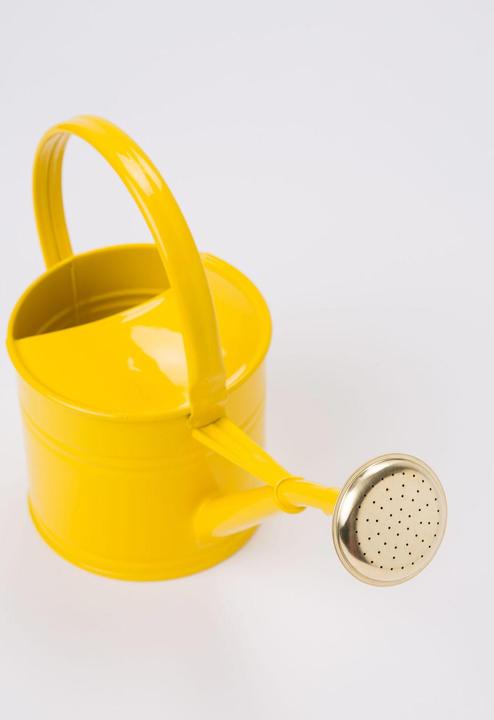 Actual product image VEG and the City watering can (1.50 l)