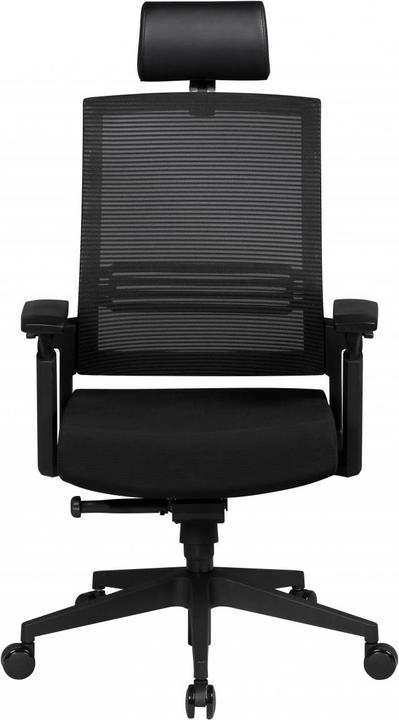Actual product image Amstyle Apollo A1