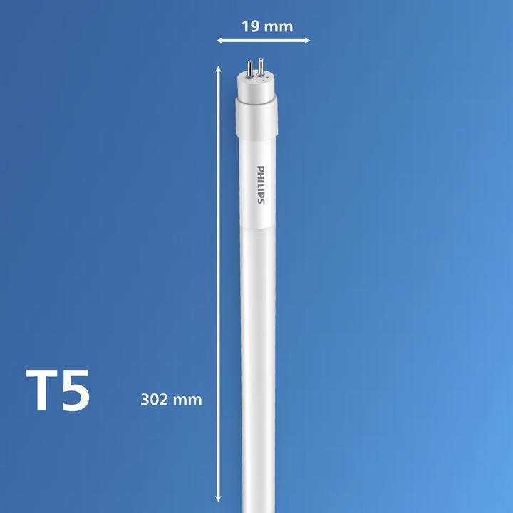 Image du produit Philips blanc (G5, 4.50 W, 600 lm, 12 x, E)