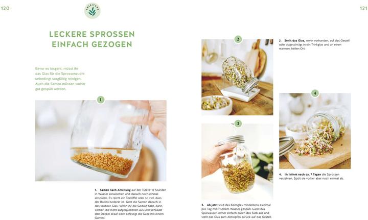 Produktbild Deine Fensterbank kann Garten! (Deutsch, Annemarie Imgrund, 2023)