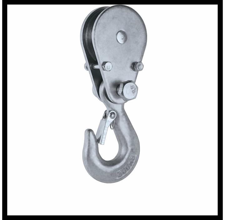 Actual product image Einhell Rope hoist TC-EH 250