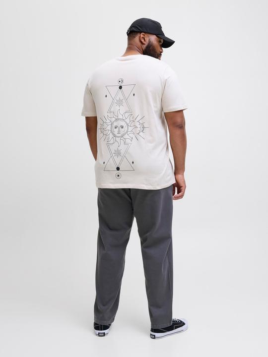 Produktbild Jack & Jones Jpstkane Fctry Fabric2 L2 Chino Pant Pls (40)