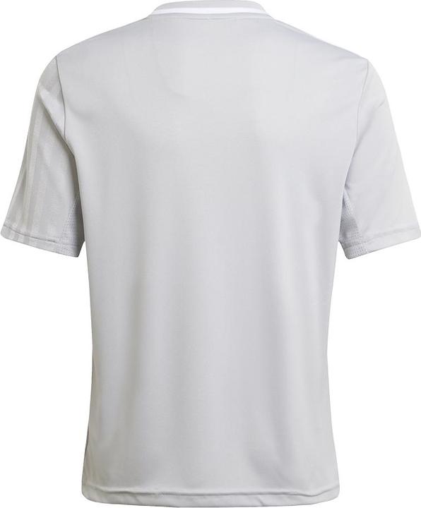 Actual product image adidas Campeon 25 Jersey Kids (164)
