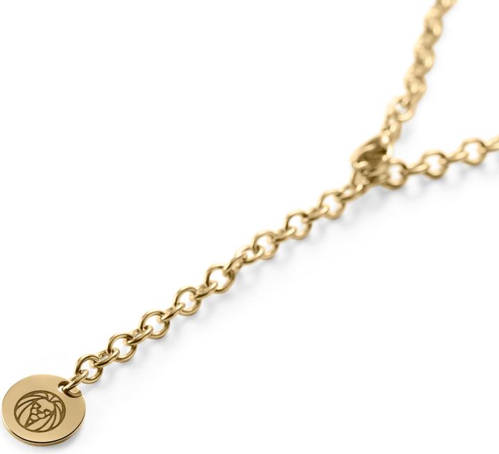 Actual product image Lucleon Zirconia (Metal)