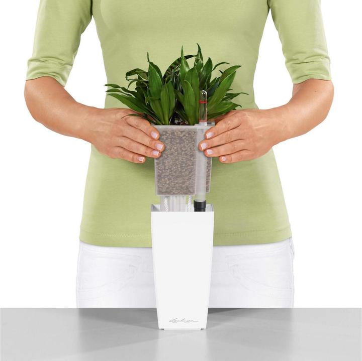 Actual product image Lechuza Mini Cubi (9.50 cm)