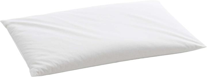 Actual product image Billerbeck Organic millet cushion (50 x 70 cm)
