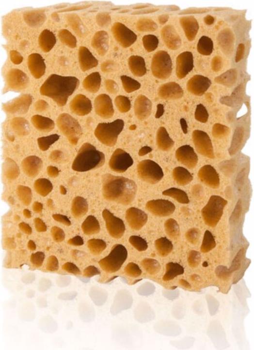 Produktbild Pedag Schwamm (1 x)