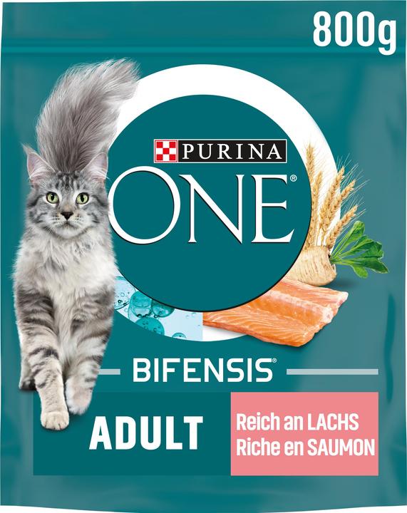 Purina ONE Saumon et farine complète (Adulte, 1 pcs, 800 g)