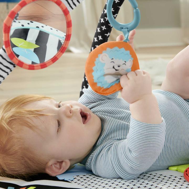 Immagine prodotto Fisher-Price Mario Kart Toad pressofuso