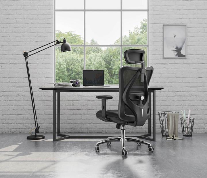 Actual product image Sihoo Office chair