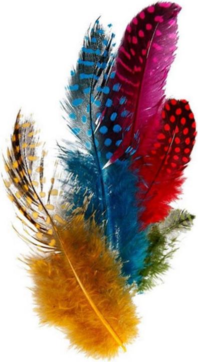 Immagine prodotto Creativ Company Assortimento di piume di faraona