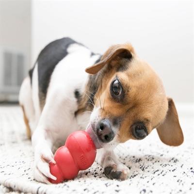 Image du produit KONG Classic (Apporter, Jouet alimentaire pour chien, Jouet à lancer chien)