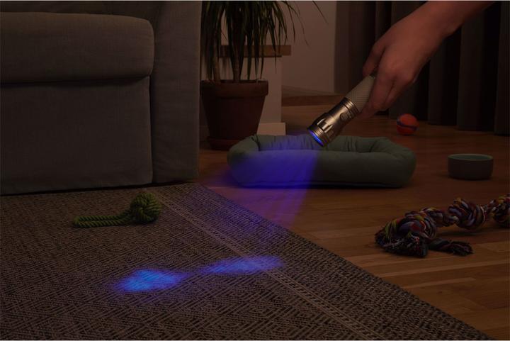 Actual product image Varta UV Flashlight (11.80 cm, 0 lm)