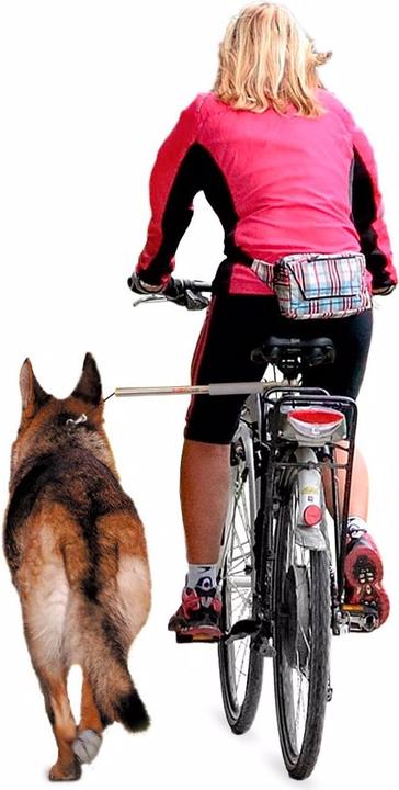 Image du produit Walky Dog Laisse de roue libre pour bicyclette (Chien, Réflecteurs)