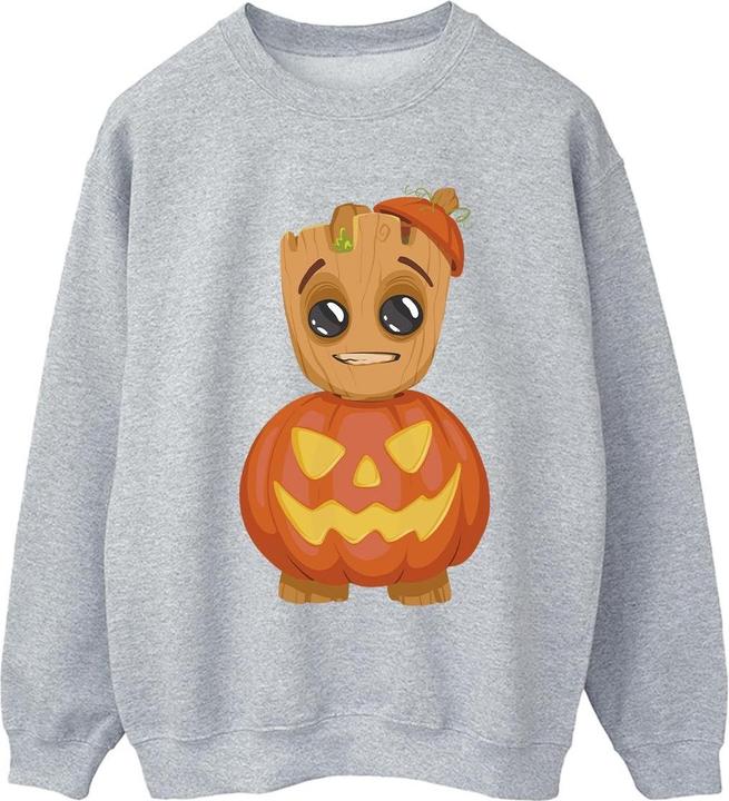 Image du produit - Sweat - Femme (4XL)