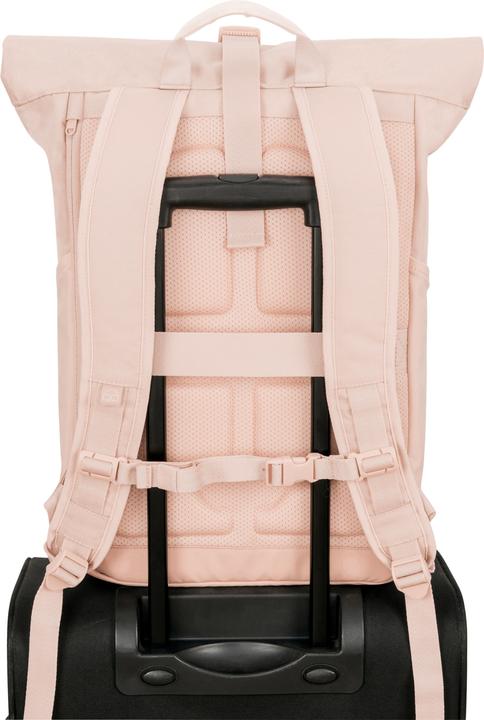 Image du produit Johnny Urban Allen (19 l)