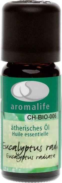 Actual product image Aromalife Eucalyptus radiata