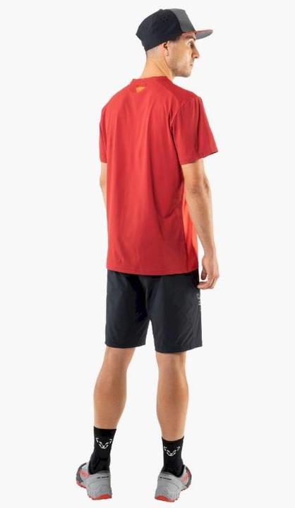 Actual product image Dynafit Transalper Light Dynastretch Shorts (L)