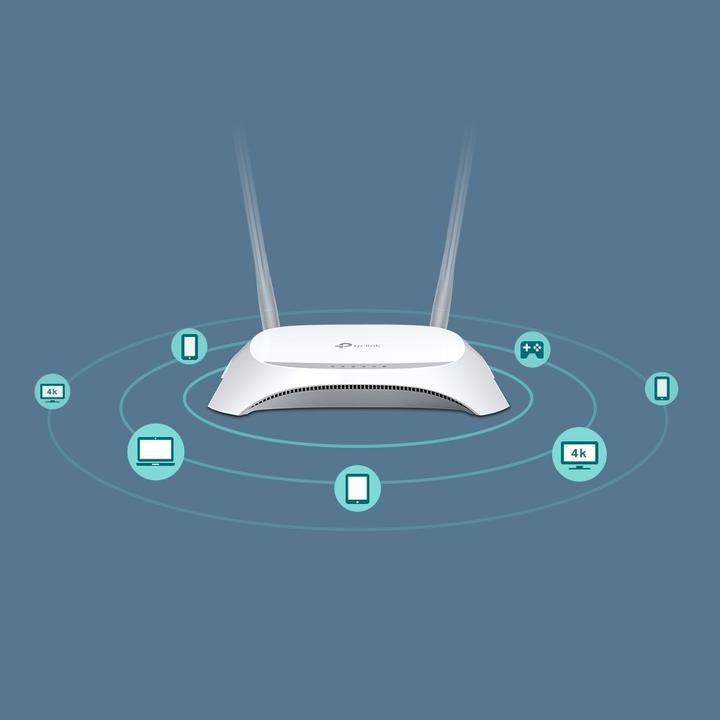 Actual product image TP-Link Tl-Mr3420
