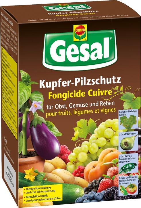 Gesal Kupfer-Pilzschutz (Pilze)
