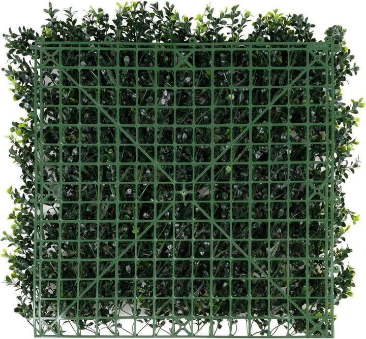 Immagine prodotto Karat Parete di piante di bosso (50 cm)