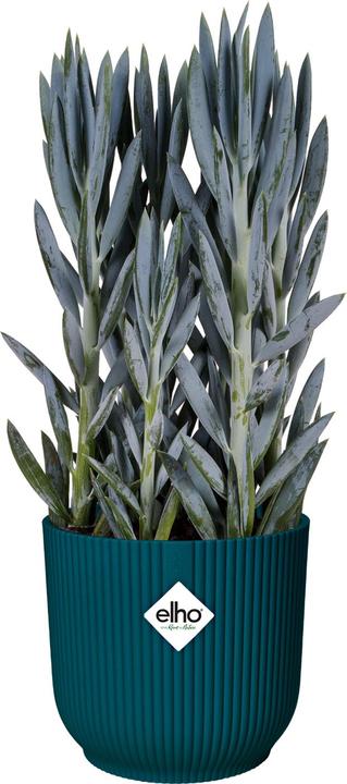 Produktbild Elho Vibes (29.50 cm)