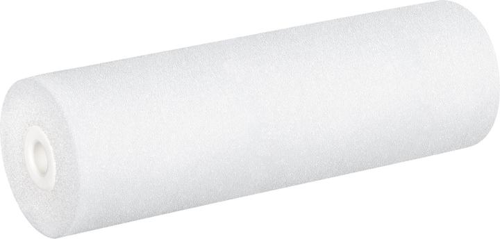 Color Expert 5 rollers foam 11cm (10 cm)