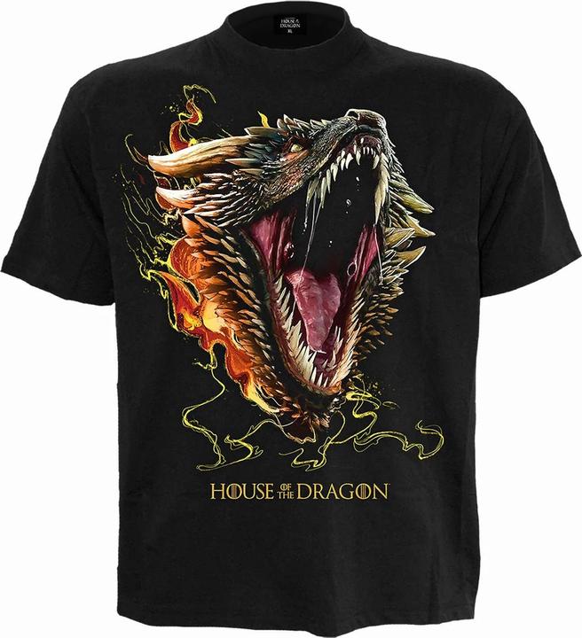 Spiral Dragon TShirt