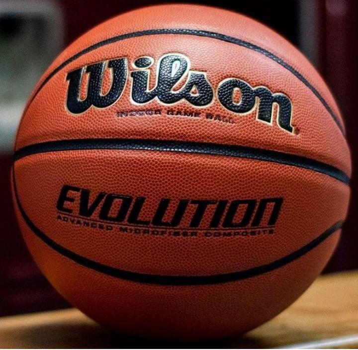 Immagine prodotto Wilson Evolution Game Ball (7)