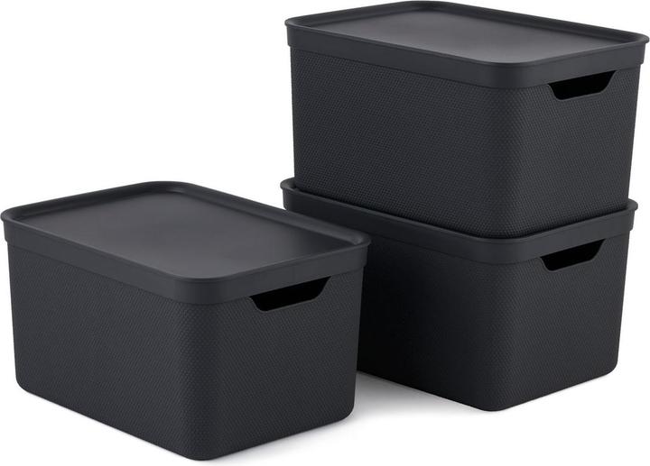 Rotho 3er Set Dekobox mit Deckel (36.5 x 26.5 x 20 cm, 48 l)