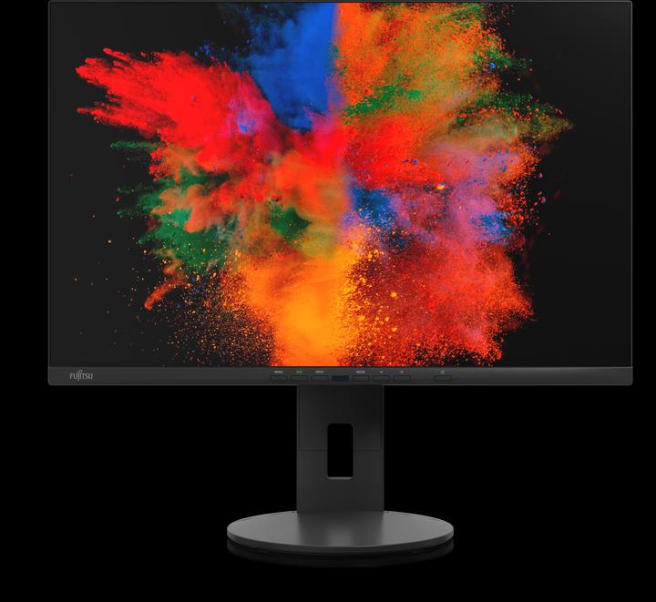 Fujitsu P2410 WS (1920 x 1200 Pixel, 24")