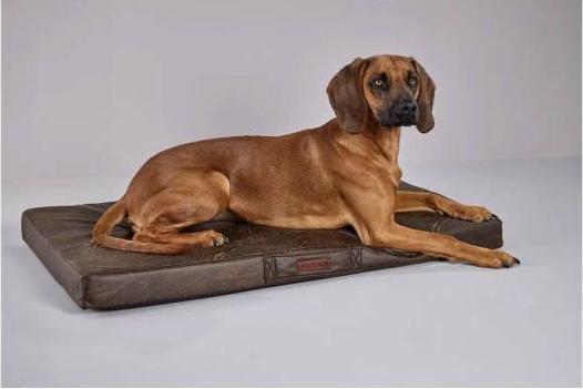 Produktbild Wolters Vintage (Hund)
