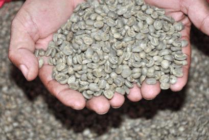 Produktbild Sonnentor Grüner Kaffee (54 g)