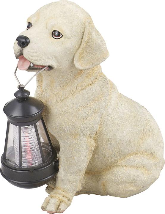 Image du produit Globo Lumière solaire (IP44)