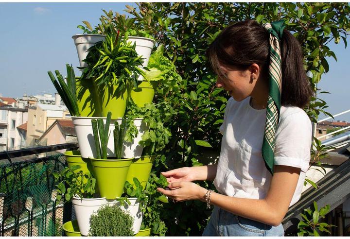 Image du produit Hexagro Poty Kit L Smart Gardening