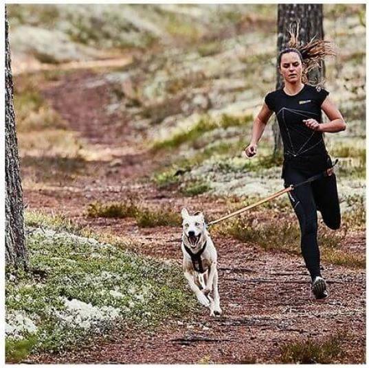 Produktbild Non-Stop Dogwear Bungee (M, Hund, Jogging)