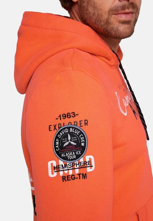 Actual product image Camp David Hoodie ALASKA ICE TOUR Hoodie (S)