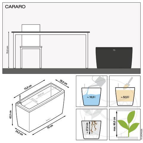 Actual product image Lechuza Cararo (30 cm)