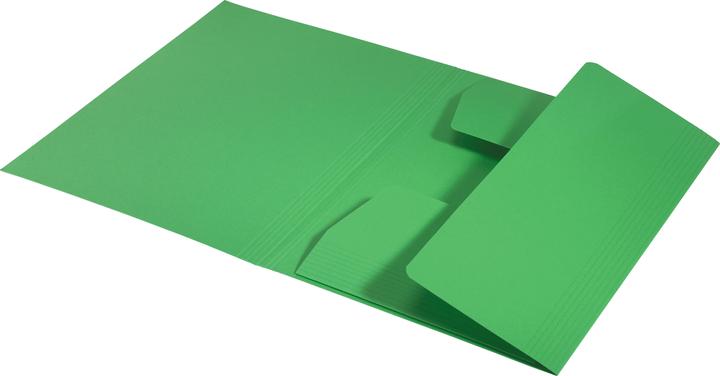 Actual product image Leitz Jurismappe (A4, 1 x)